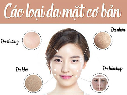 Các Loại Da Và Cách Chăm Sóc Với Dược Mỹ Phẩm